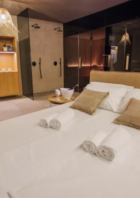 VIP soba, SAVNA & SPA