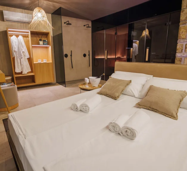 Chambre VIP avec Sauna & SPA