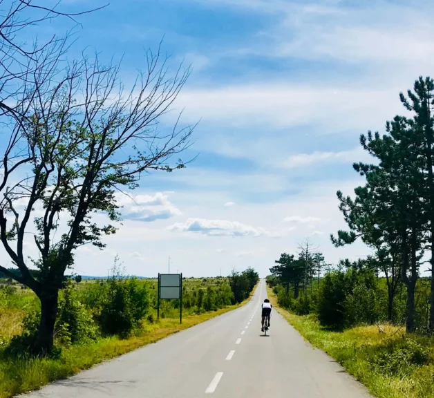 Kolesarjenje